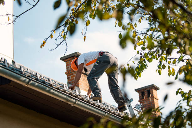 Best Storm Damage Roof Repair  in Prudhoe Bay, AK